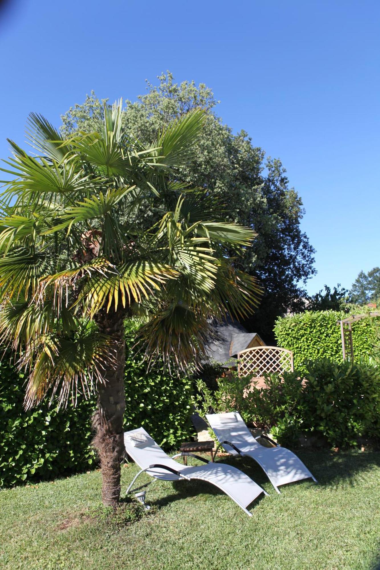 Le Relais Des Anges Acomodação com café da manhã Mercuès Exterior foto